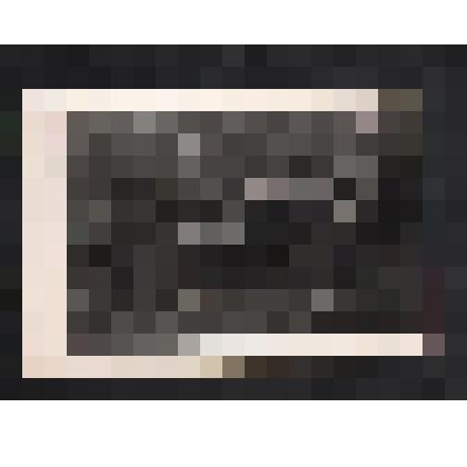 Фото. Ольга Федоровна Тозыякова с баяном