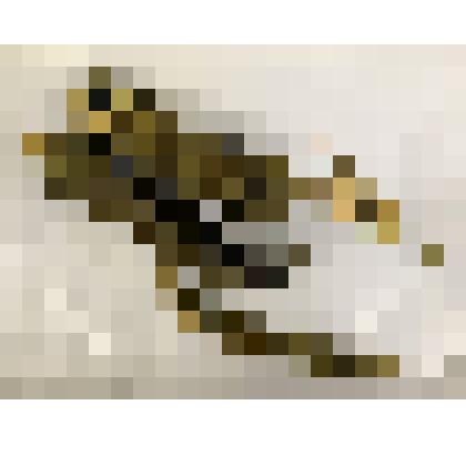 Пояс к парадному мундиру с подвесками для кортика Медведкова А.В