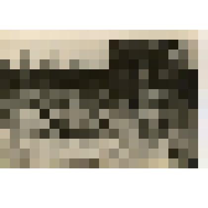 Фотография сюжетная