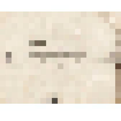 Телеграмма № 1171 в г. Чердынь В. Н.Алину от Алина из г. Ирбита, 03.02.1886 г