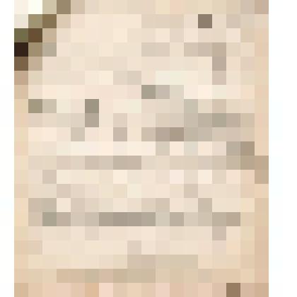 Телеграмма № 333 в г. Чердынь В.Н.Алину от Головина из г. П. Бора, 28.07.1906 г