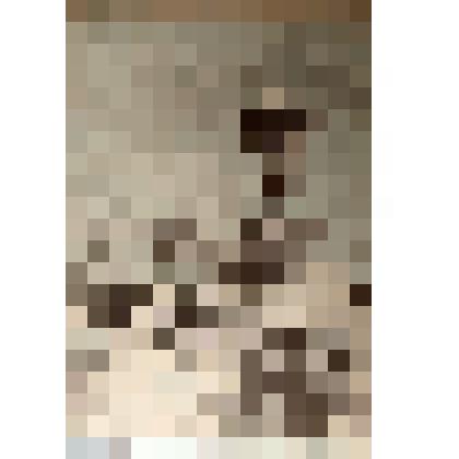 Почтовая карточка от Григорьевой Н.Г