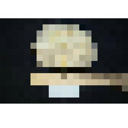 Раковина аммонита