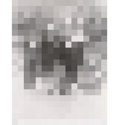 Фотография групповая  " Кривенко Н А с двумя друзьями  в парке "