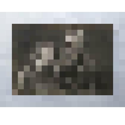 Фотография Ф.А. Буданова с супругой