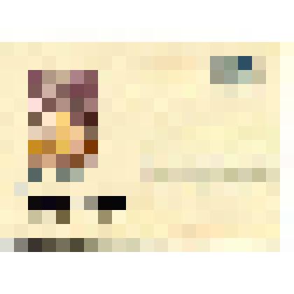 Конверт почтовый художественный маркированный с изображением Кронштадтского футштока