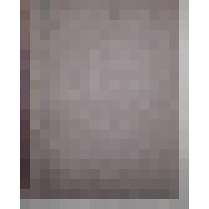 Книга. Акты исторические,собранные и изданные археографической комиссией.  - Том второй. Указ к актам историческим. 1598-1613 гг. - Санктпетербург: Типография экспедиции заготовления Государственных бумаг, 1841