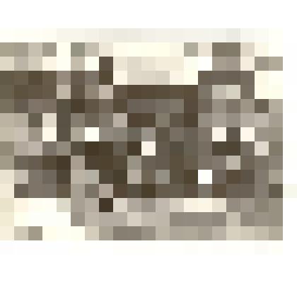 Фотография: панорама с.Камень Барнаульского уезда Томской губернии. Копия