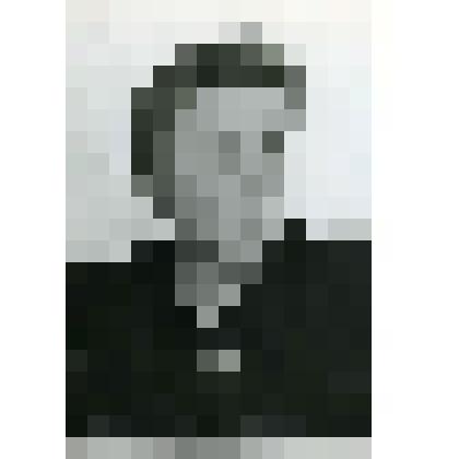 Фотография. Звеньевая А.Е. Шипкина