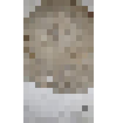 Маска пасечника