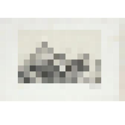 Литография. "Санкт-Петербург. Обитель Святого Александра Невского."