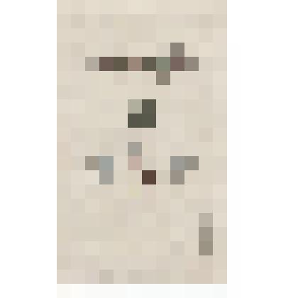 Гравюра. Chermes Buxi, Lin