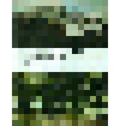 Книга. Середина столетия. Историко-литературный очерк