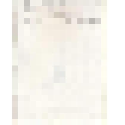 Лист с авторским текстом Толмашова Е.Н., написанным его рукой: "Трава пробивается между каменными плитами..", на обороте карандашный набросок