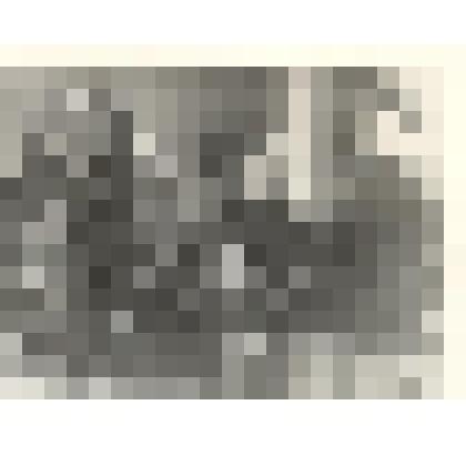 Фотография групповая