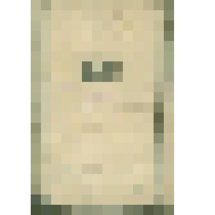 Документы периода становления Сольвычегодского музея