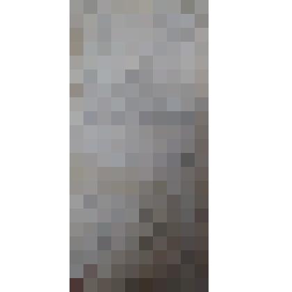 Письмо с фронта Анне Михайловне от дочери Лизы