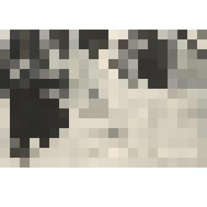 Фото (черно-белое)