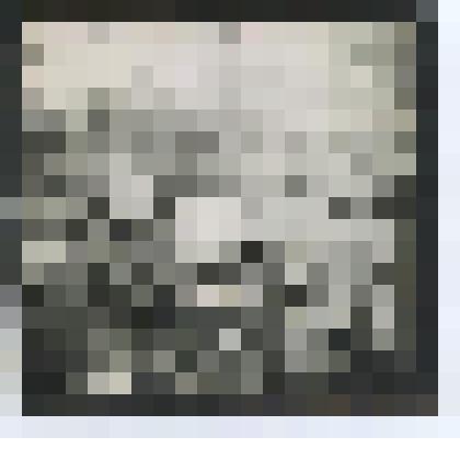 Фото черно-белое. Кокорин Е.В