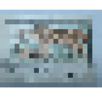 Марка почтовая с изображением  амурских тигров