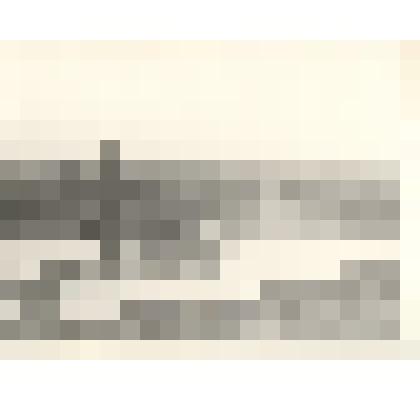 Фотография: работа по очистке русла реки Суева при строительстве Кулундинского канала