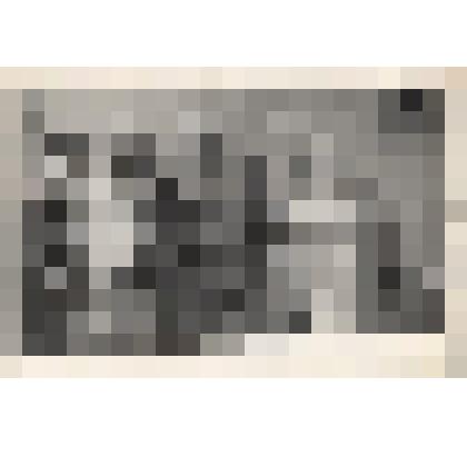 Групповая. Наталья Прудникова, В.И. Прудников, М.С. Прудникова. Фотография