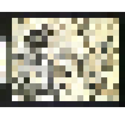 коллекция графики Лагодича В. Ф. Графическая работа "Драма жизни"