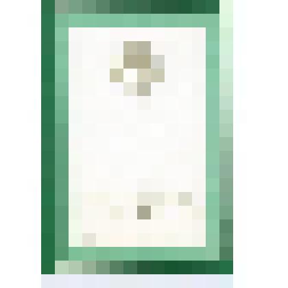 Почётная грамота Чех А. С. 1981 г