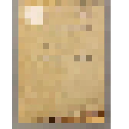 Брошюра. Программа для собирания русского фольклора / М. А. Васильев. - Казань: Типо-литография Татполиграфа, 1929. - 42 с