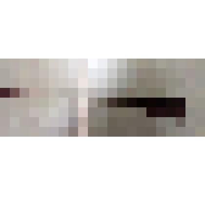 Винтовка. Фрагмент