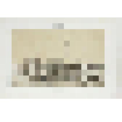 Литография. "Санкт-Петербург. Александрийская колонна и императорский Зимний дворец."