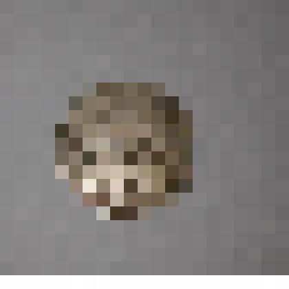 Монета номиналом 20 копеек 1983 г СССР