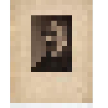 Фотография. Павел Семенович Жуков (1870-1942) родился в Симбирске. Художник, музыкант, фотограф. Фотографировал В.И. Ленина