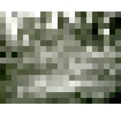 Фотография. Чумища дымокуров для оленей