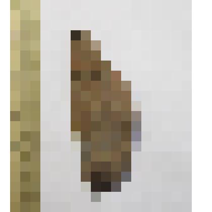 Низ наконечника стрелы