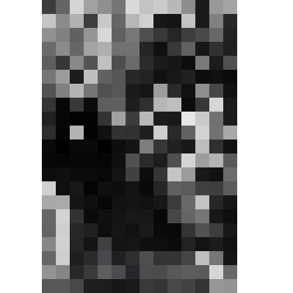 Фотография черно-белая. Без названия