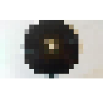 Грампластинка с записью голоса Л.Н.Толстого мысли из книги на «Каждый день»