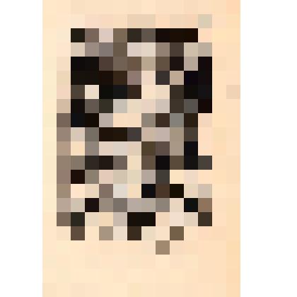 «EX LIBRIS Неволиной - Световой».1975