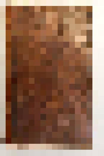 Книга на французском языке. Histoire naturelle des singes... - A Paris: De l`imprimerie de F. Dufart, 1801. - Tome II