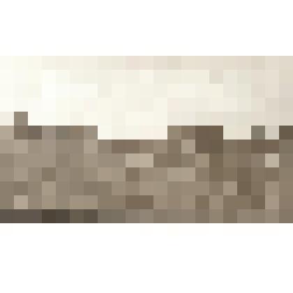 Л.Н.Толстой идет по улице деревни Ясная Поляна