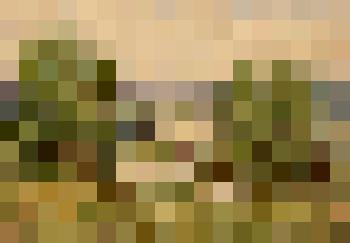 Цариков Л.А. "Самая извилистая река России. Иня недалеко от села Катково"