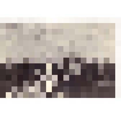 Фотопозитив. Приём делегации моряков, участников 17 съезда профсоюзов СССР министром ММФ товарищем Гуженко