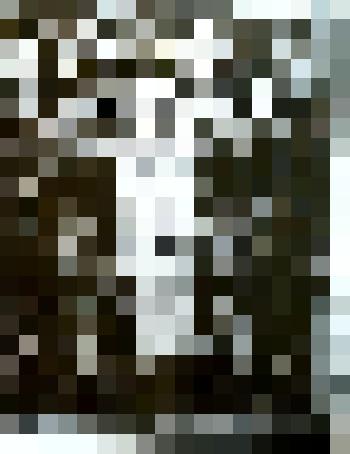 "Невеста". Графика