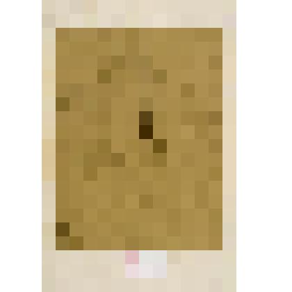 Натурщик, голова и торс натурщика