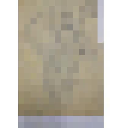 "Наклонившаяся обнаженная женская фигура"