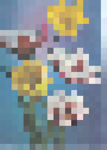 Открытка Тюльпаны