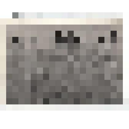 Фото/чб. Костин И.С., директор ЭОМС (ВОЛЖНИИГИМ) с делегацией в пшеничном поле. Энгельсский р-н. 1970-е