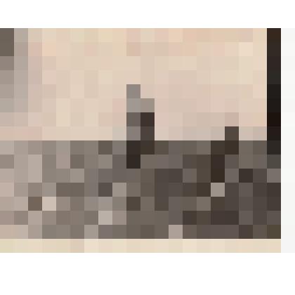 Фото/чб. Энгельсская опытно-мелиоративная станция ВНИИГИМ. Прополка кукурузы в поле. 1960-1970-е