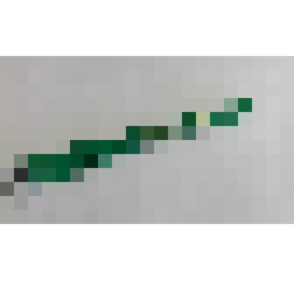 Ручка шариковая переписчика Всероссийской сельскохозяйственной переписи 2016 г