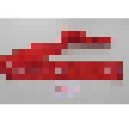 Лента (фрагмент), подаренная дирижеру К.К.Иванову во время гастролей в Японии в г.Осака